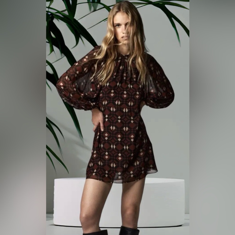 NWT Zara Long Sleeve Dress in Brown and Black